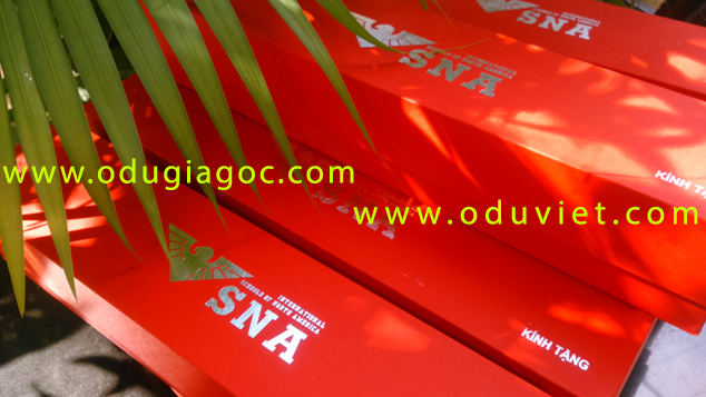 Du-chong-lat-o-chong-lat-du-2-tang-chong-lat-o-2-tang-chong-lat-du-vai-day-o-to-o-to-o-du-chong-lat-o-du-vai-cao-cap-8