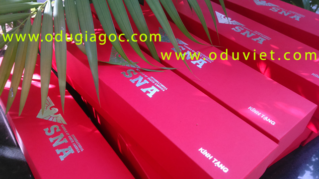 Du-chong-lat-o-chong-lat-du-2-tang-chong-lat-o-2-tang-chong-lat-du-vai-day-o-to-o-to-o-du-chong-lat-o-du-vai-cao-cap-8