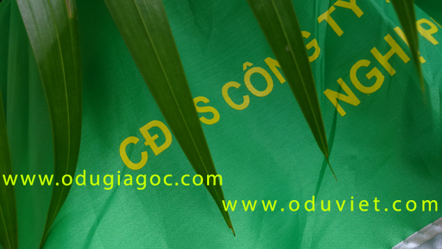 Du-chong-lat-o-chong-lat-du-2-tang-chong-lat-o-2-tang-chong-lat-du-vai-day-o-to-o-to-o-du-chong-lat-o-du-vai-cao-cap-8